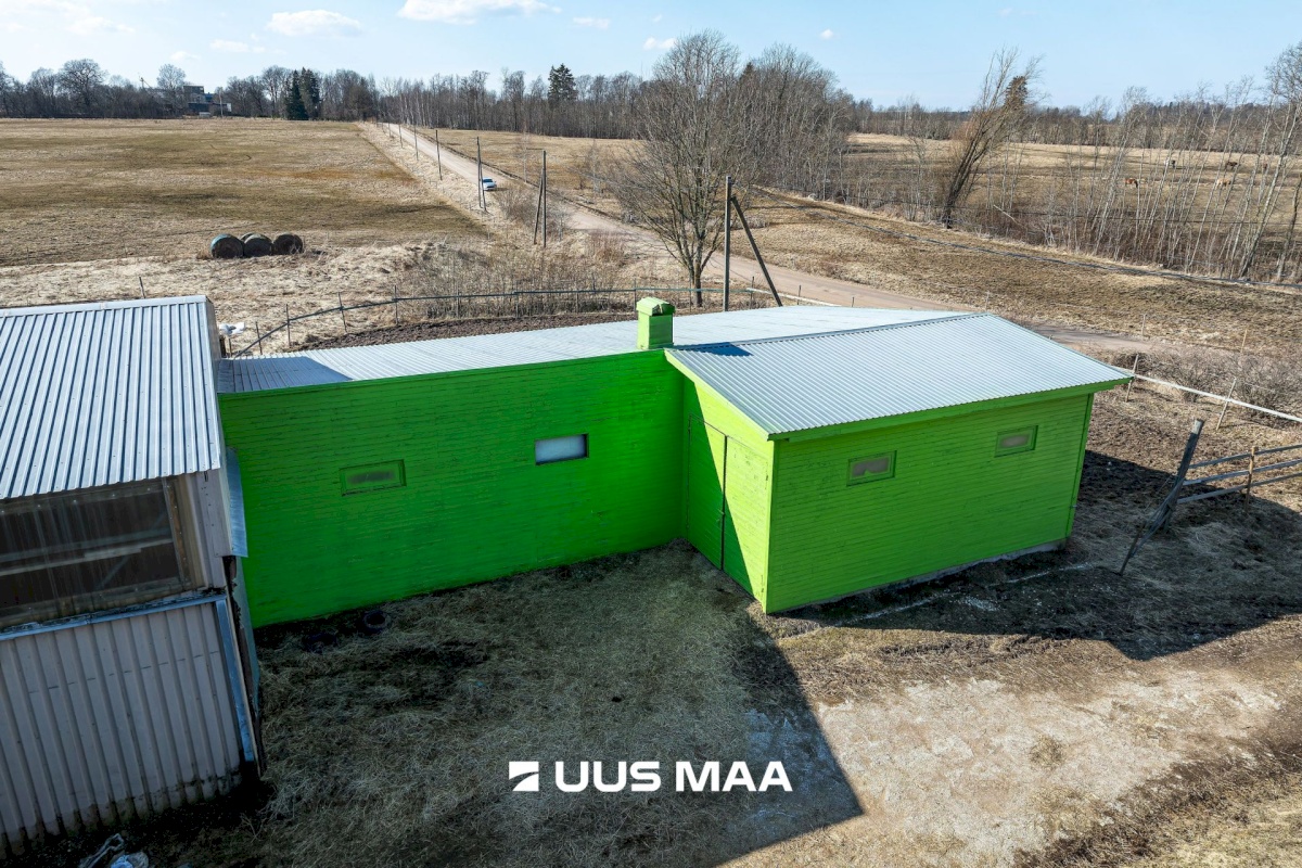 Viljandi vald, Marna küla, Saare tall