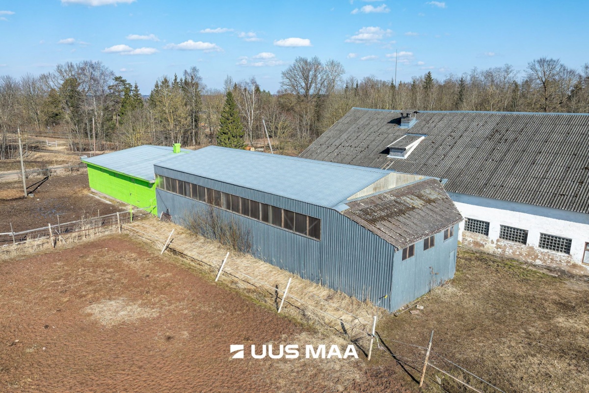 Viljandi vald, Marna küla, Saare tall