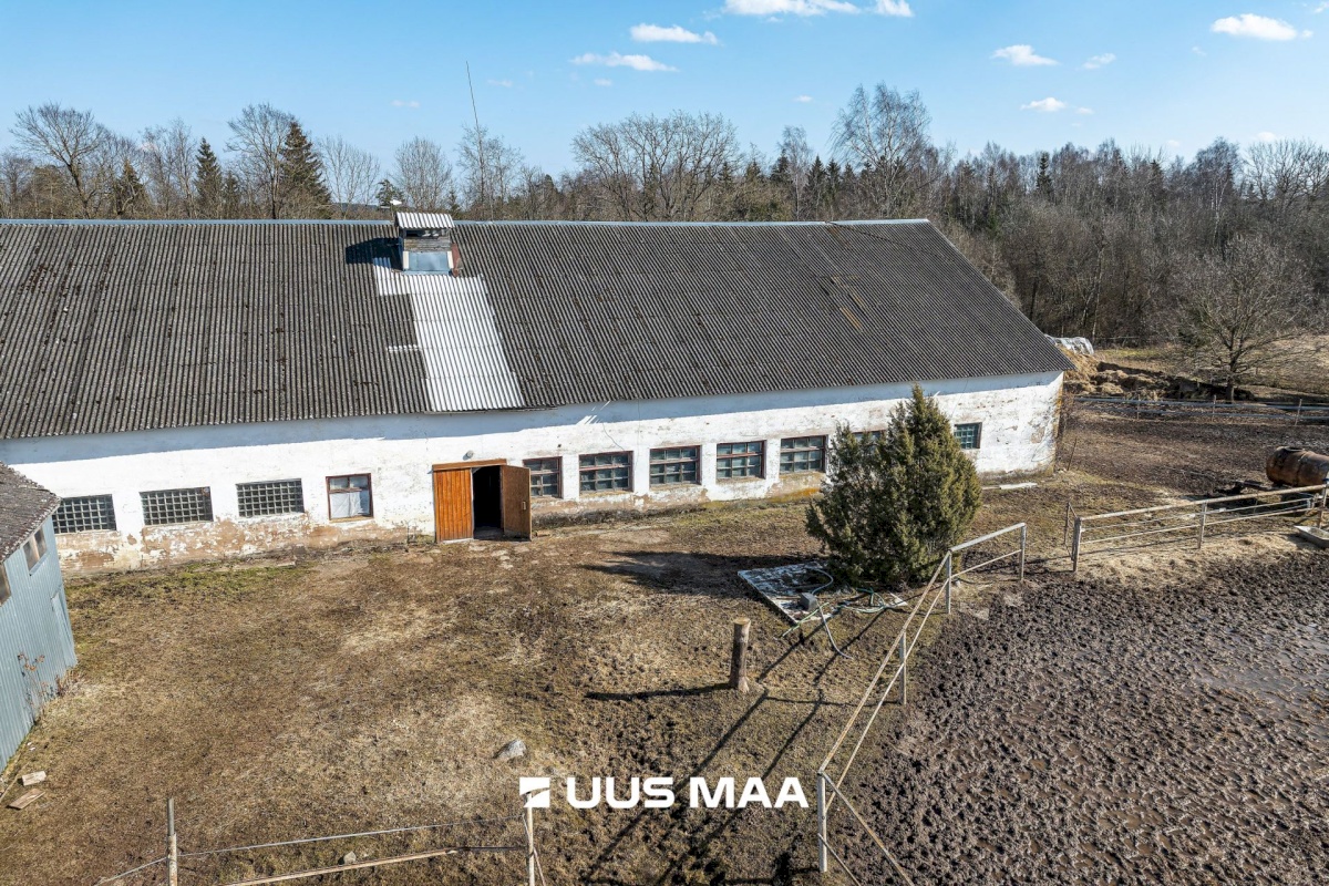 Viljandi vald, Marna küla, Saare tall