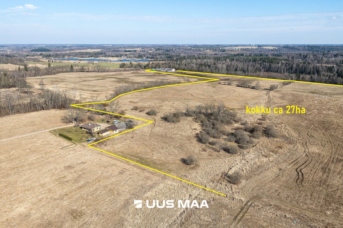 Viljandi vald, Marna küla, Saare tall