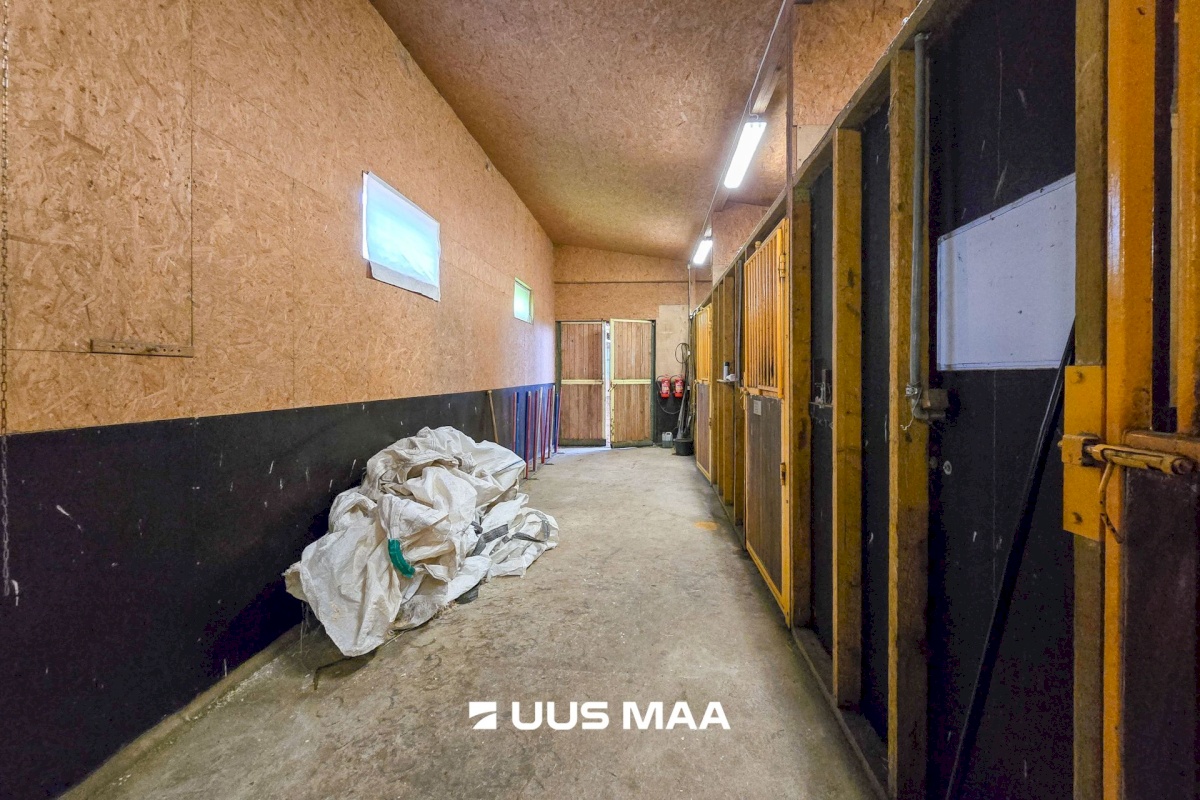 Viljandi vald, Marna küla, Saare tall