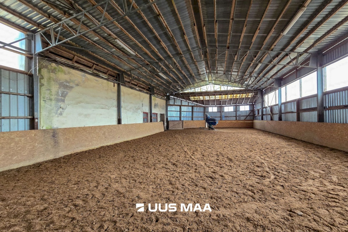 Viljandi vald, Marna küla, Saare tall