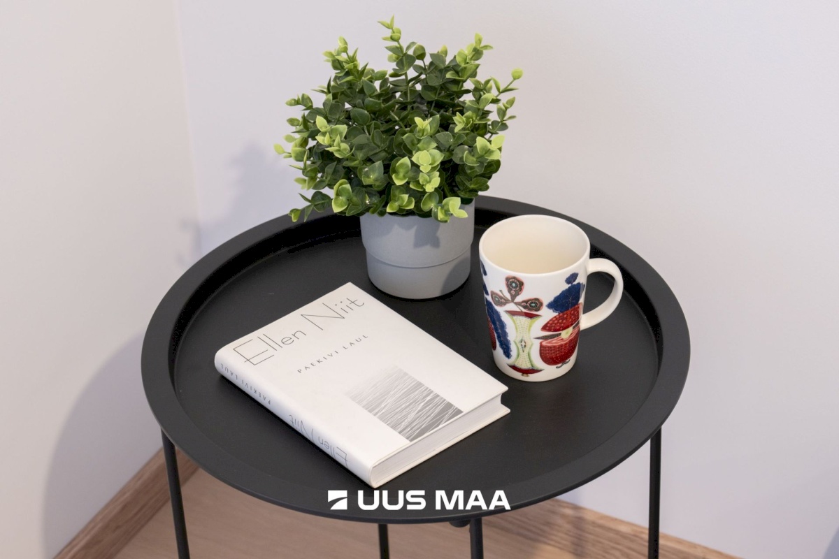 Kiili vald, Luige alevik, Põllu 12