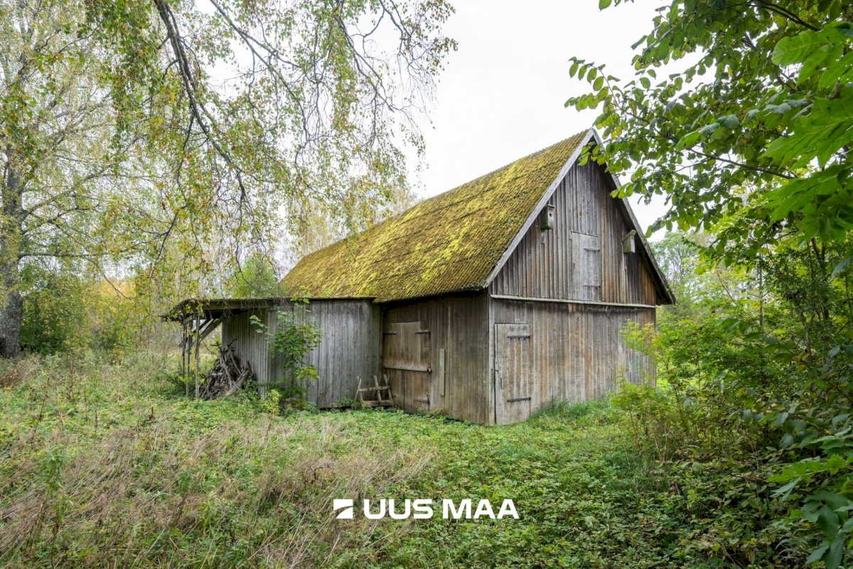 Rapla vald, Oela küla, Tilga