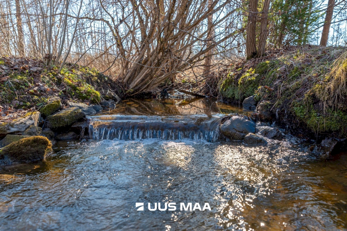 Elva vald, Elva linn, Soosaare 4