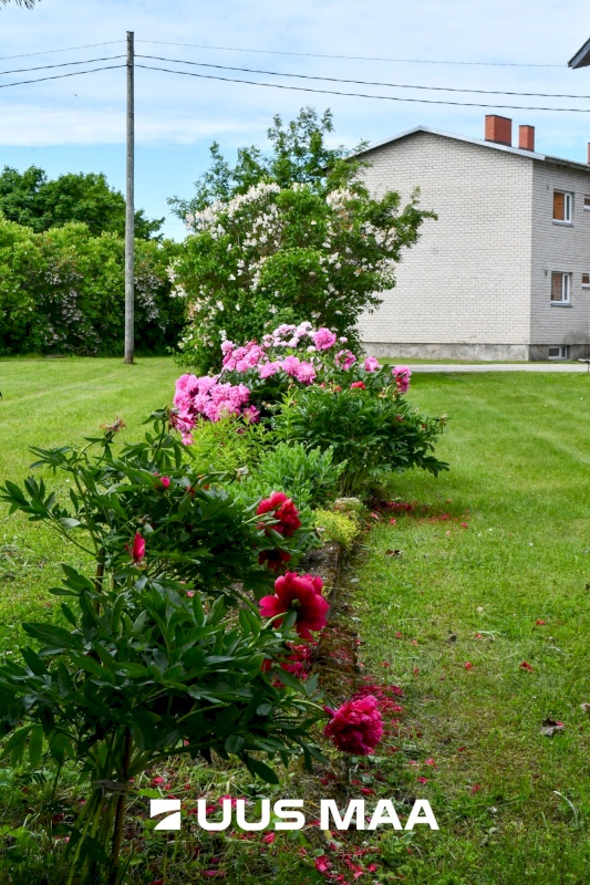 Lääneranna vald, Virtsu alevik, Tööstuse 4