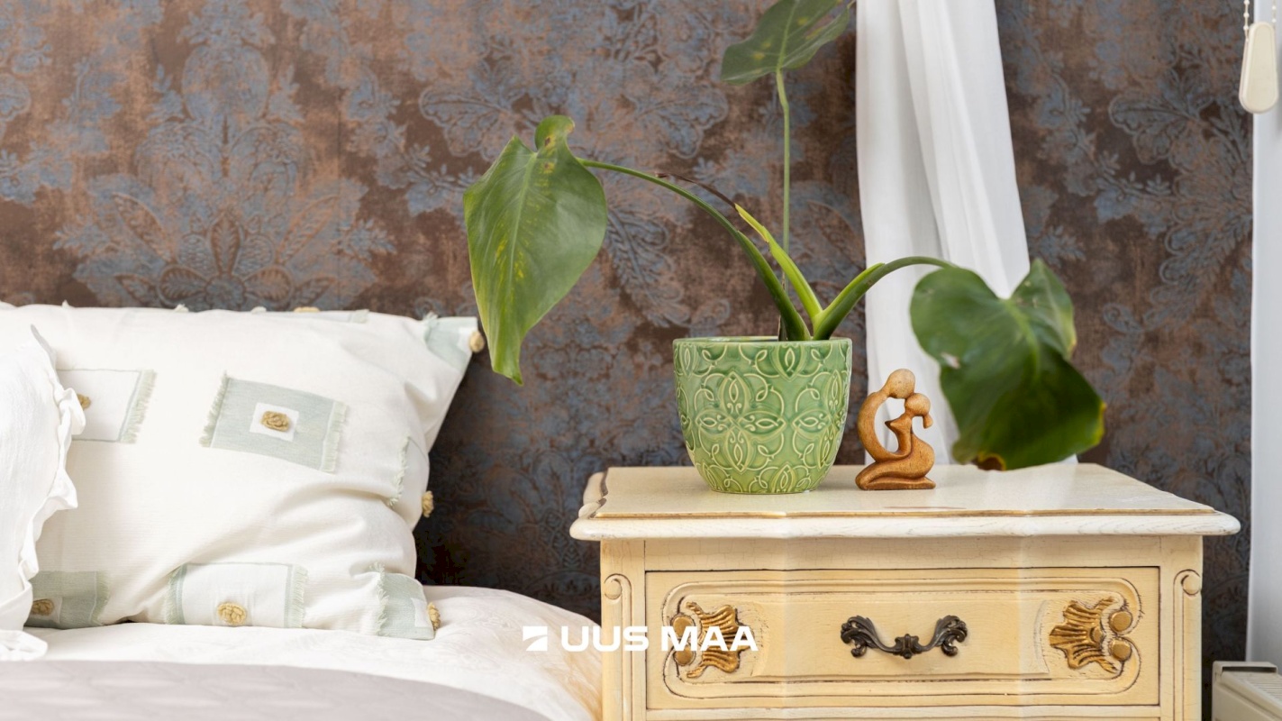 Tallinn, Põhja-Tallinna linnaosa, Kalevi tn 22