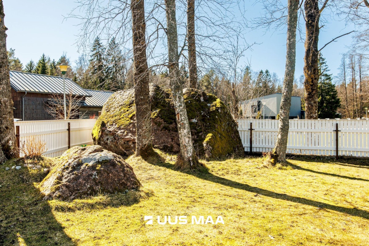 Viimsi vald, Leppneeme küla, Karusambla tee 18