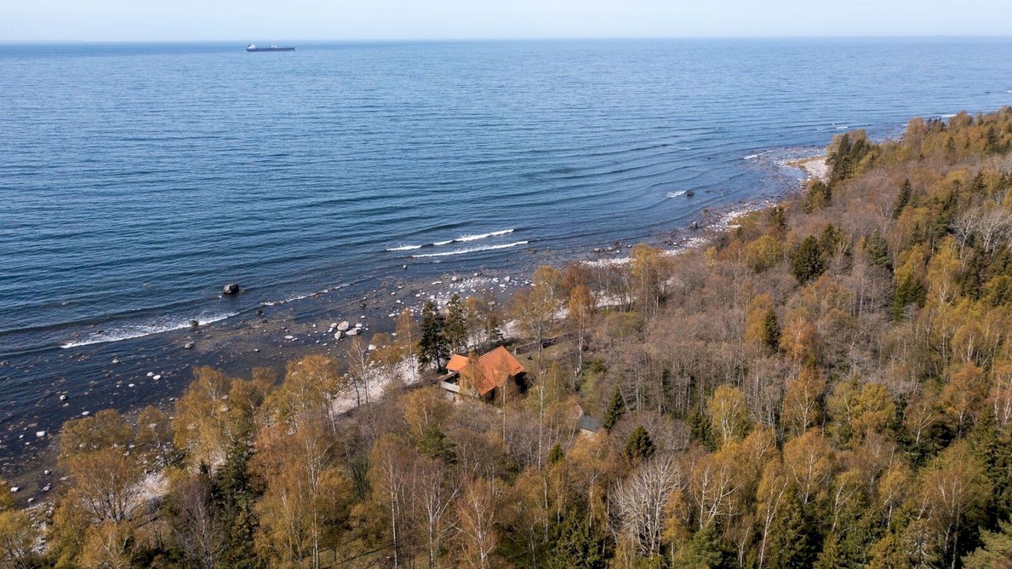 Viimsi vald, Lõunaküla/Storbyn, Männiku tee 81