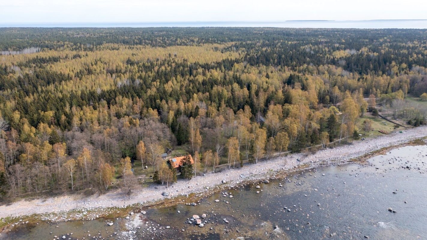 Viimsi vald, Lõunaküla/Storbyn, Männiku tee 81