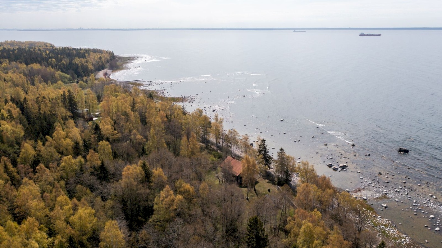 Viimsi vald, Lõunaküla/Storbyn, Männiku tee 81