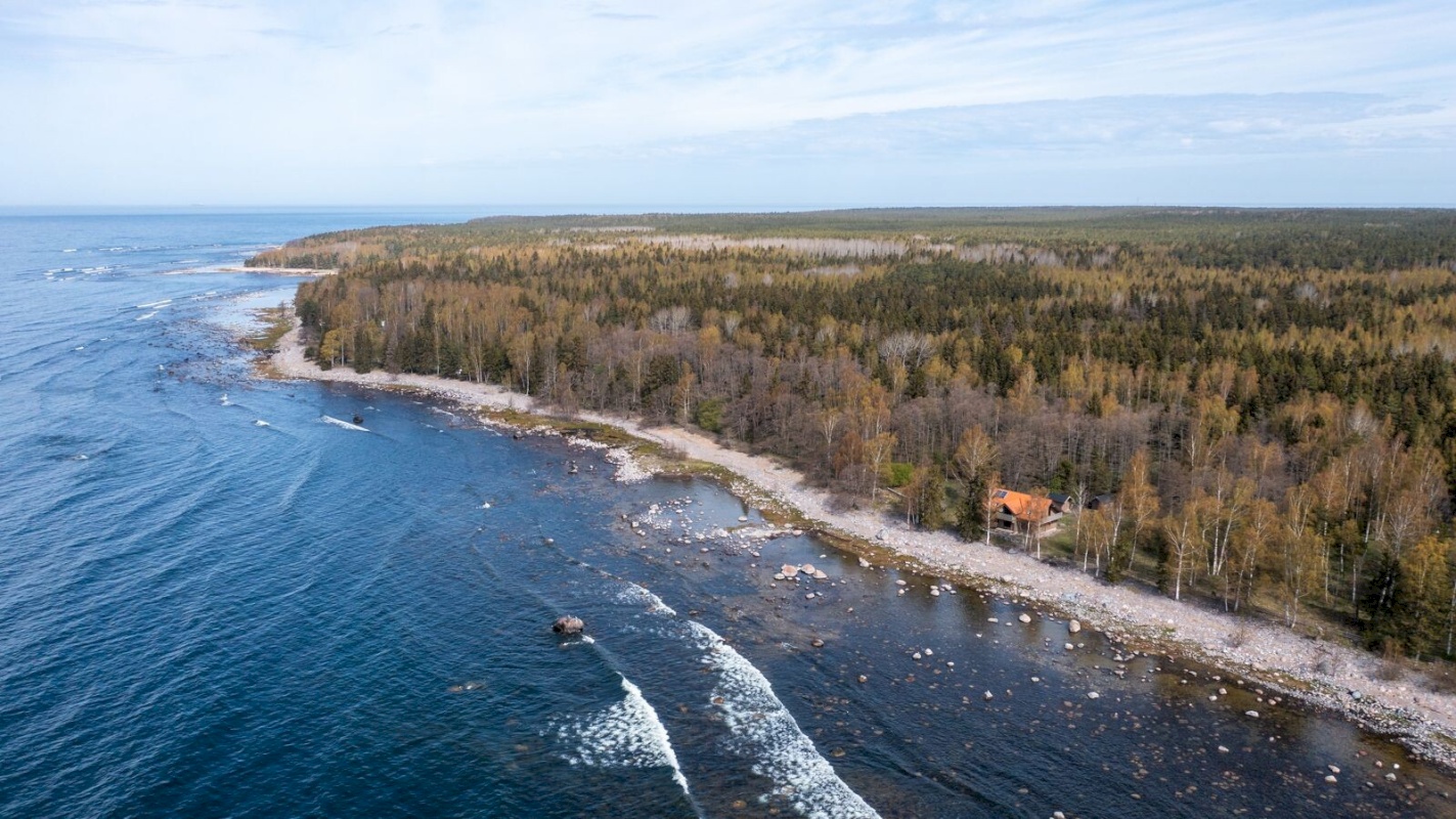 Viimsi vald, Lõunaküla/Storbyn, Männiku tee 81