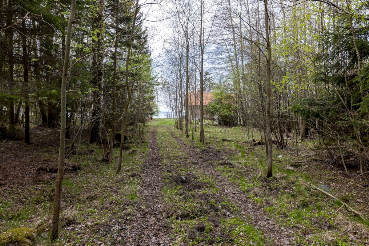 Viimsi vald, Lõunaküla/Storbyn, Männiku tee 81