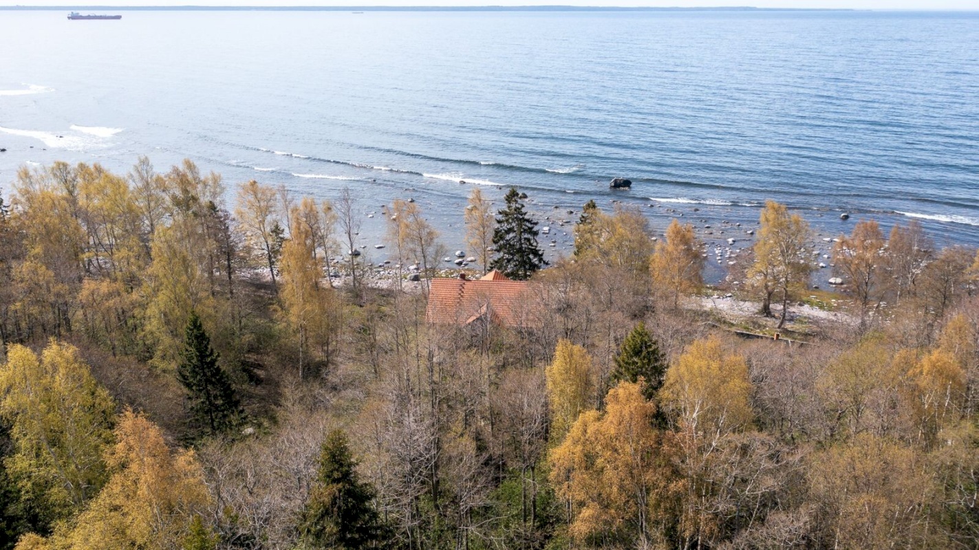 Viimsi vald, Lõunaküla/Storbyn, Männiku tee 81