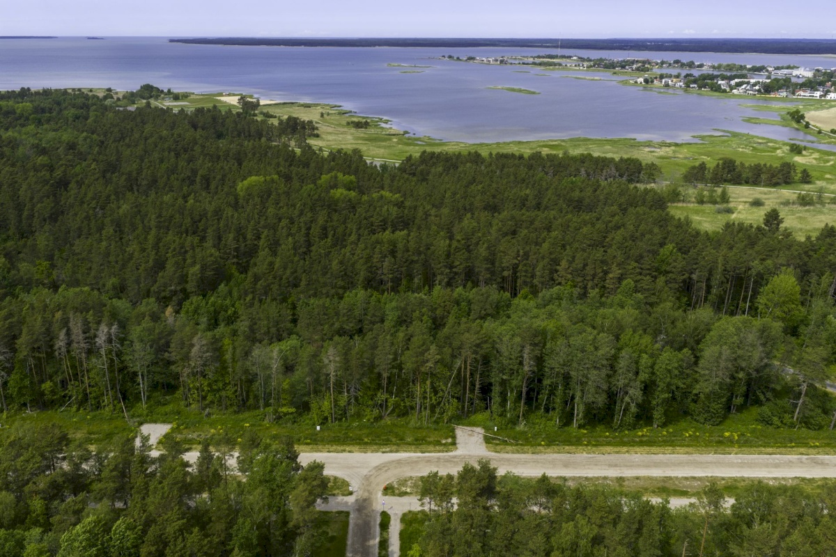 Haapsalu linn, Haapsalu linn, Paralepa tee 4