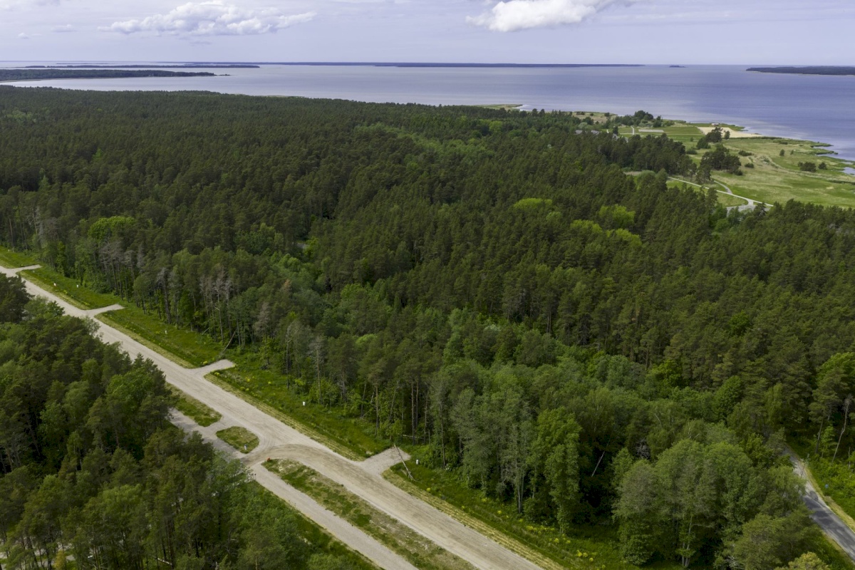 Haapsalu linn, Haapsalu linn, Paralepa tee 4