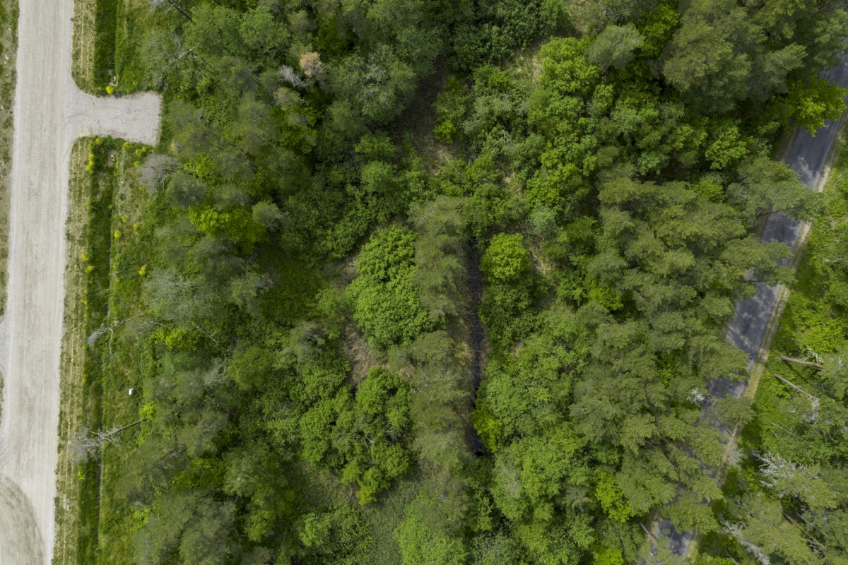 Haapsalu linn, Haapsalu linn, Paralepa tee 4