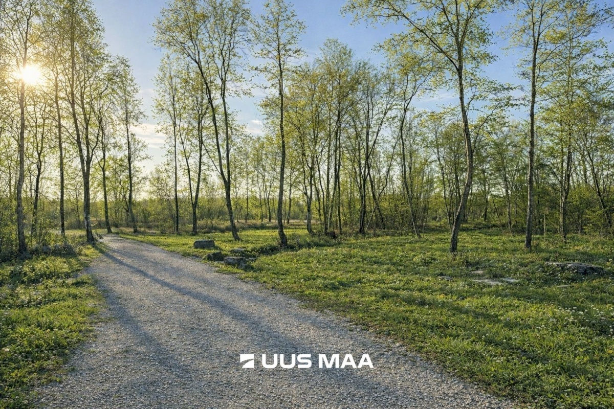 Jõelähtme vald, Saha küla, Väike-Nurme tee 8