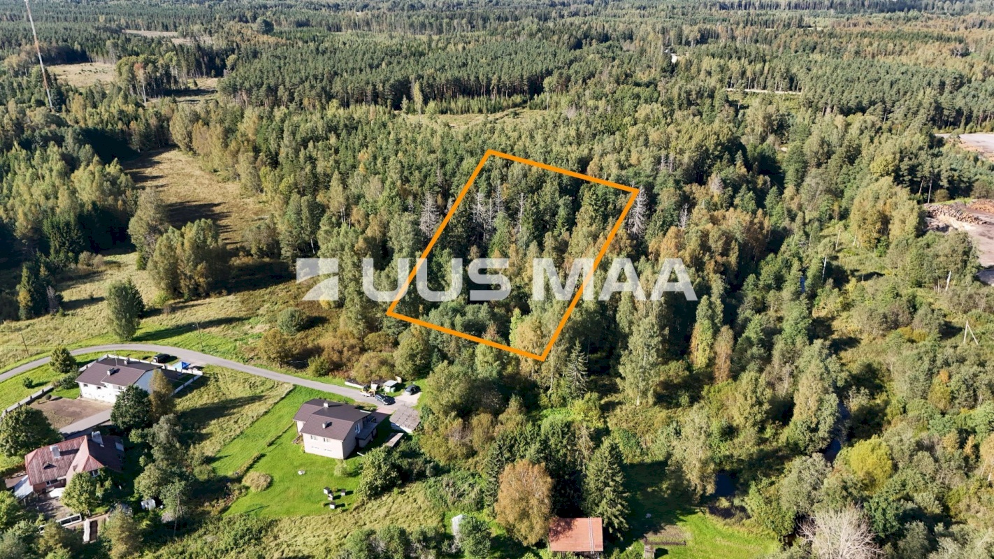 Anija vald, Aegviidu alev, Maasika 4