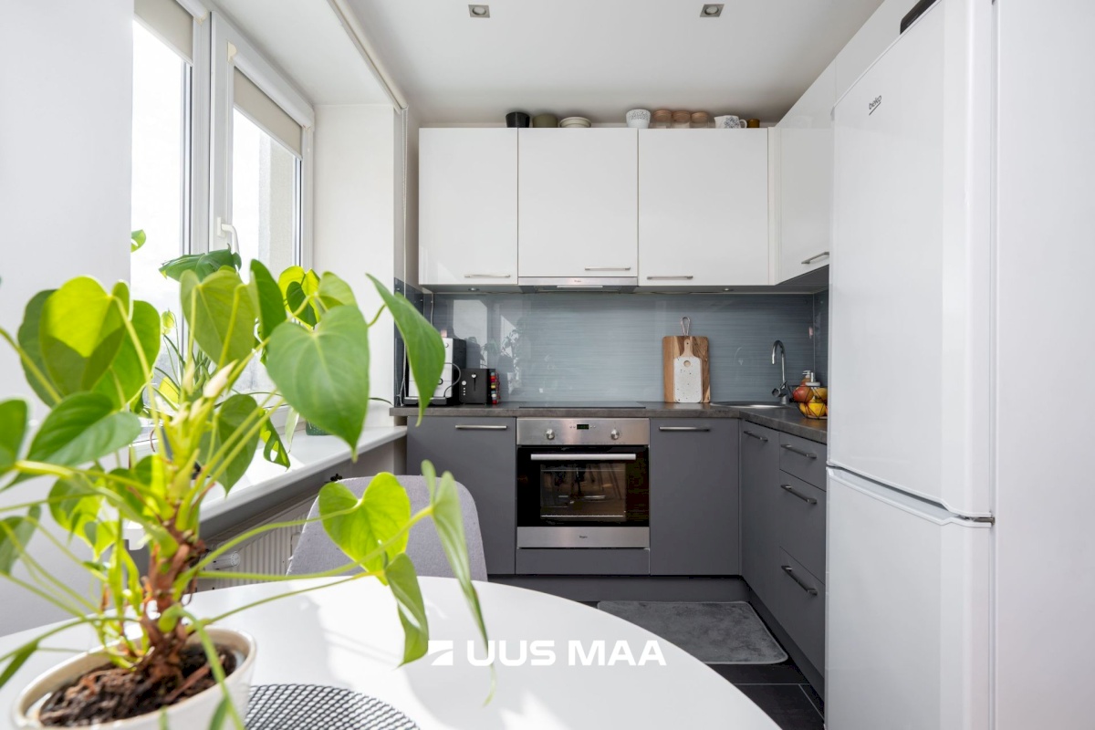 Tallinn, Kristiine linnaosa, Tondi, Tondi 44