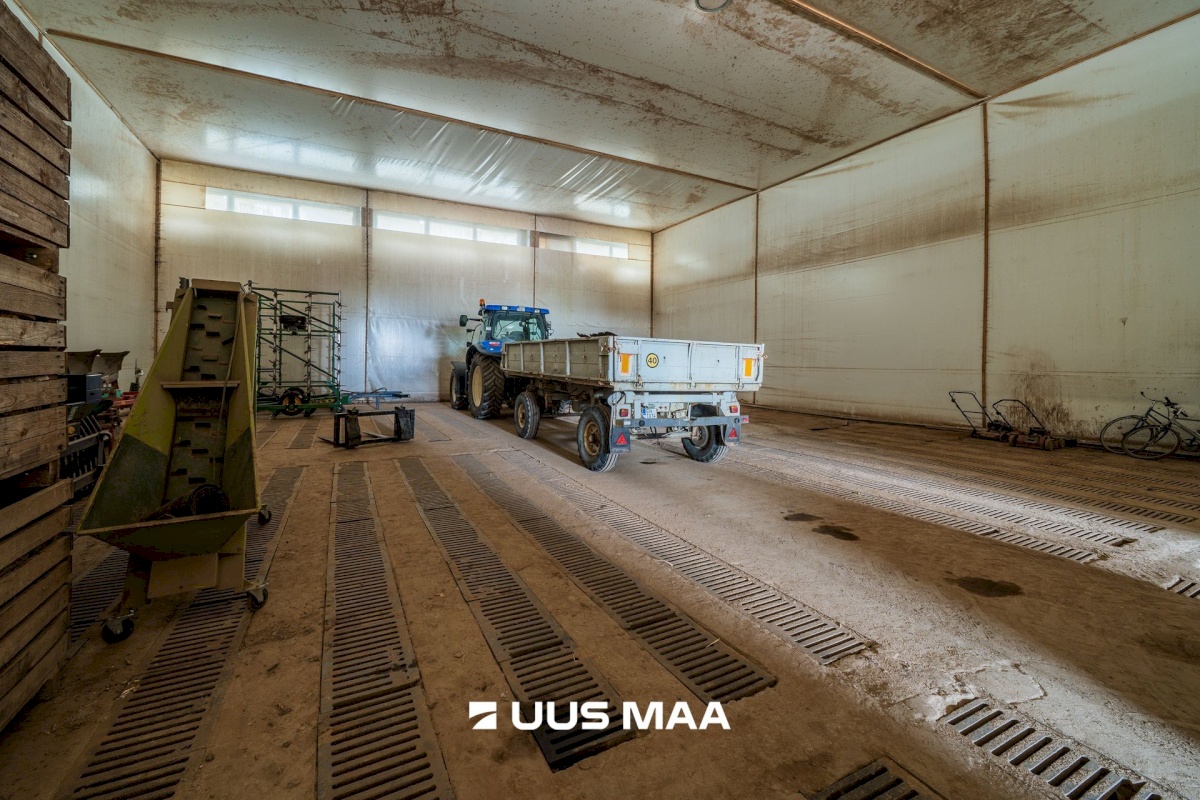 Nõo vald, Nõgiaru küla, Nõo 28