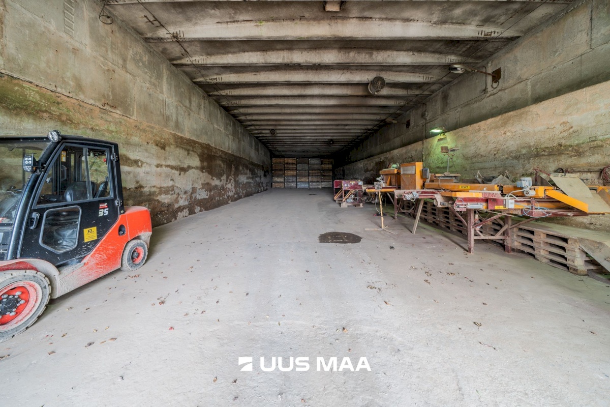 Nõo vald, Nõgiaru küla, Nõo 30