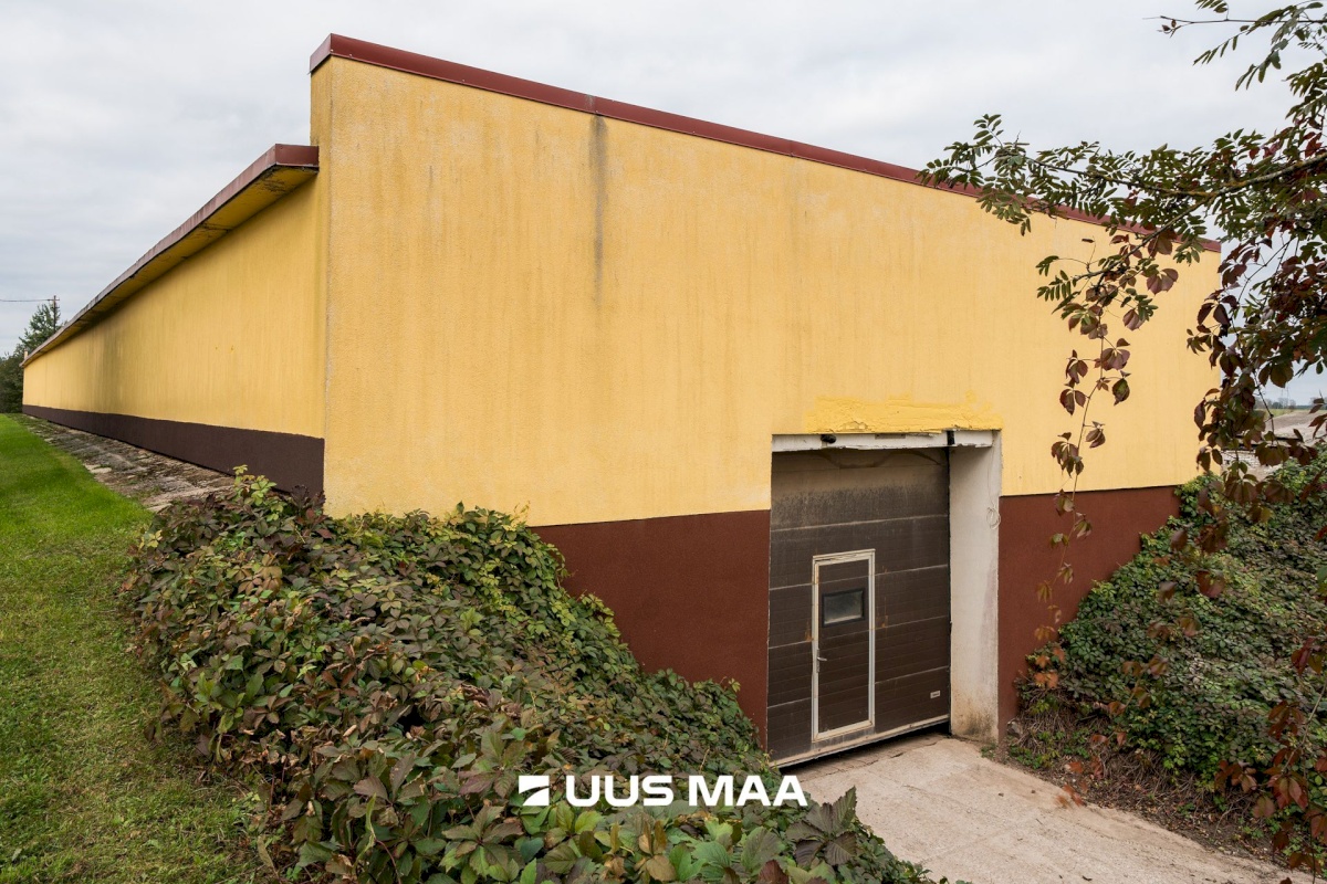 Nõo vald, Nõgiaru küla, Nõo 30