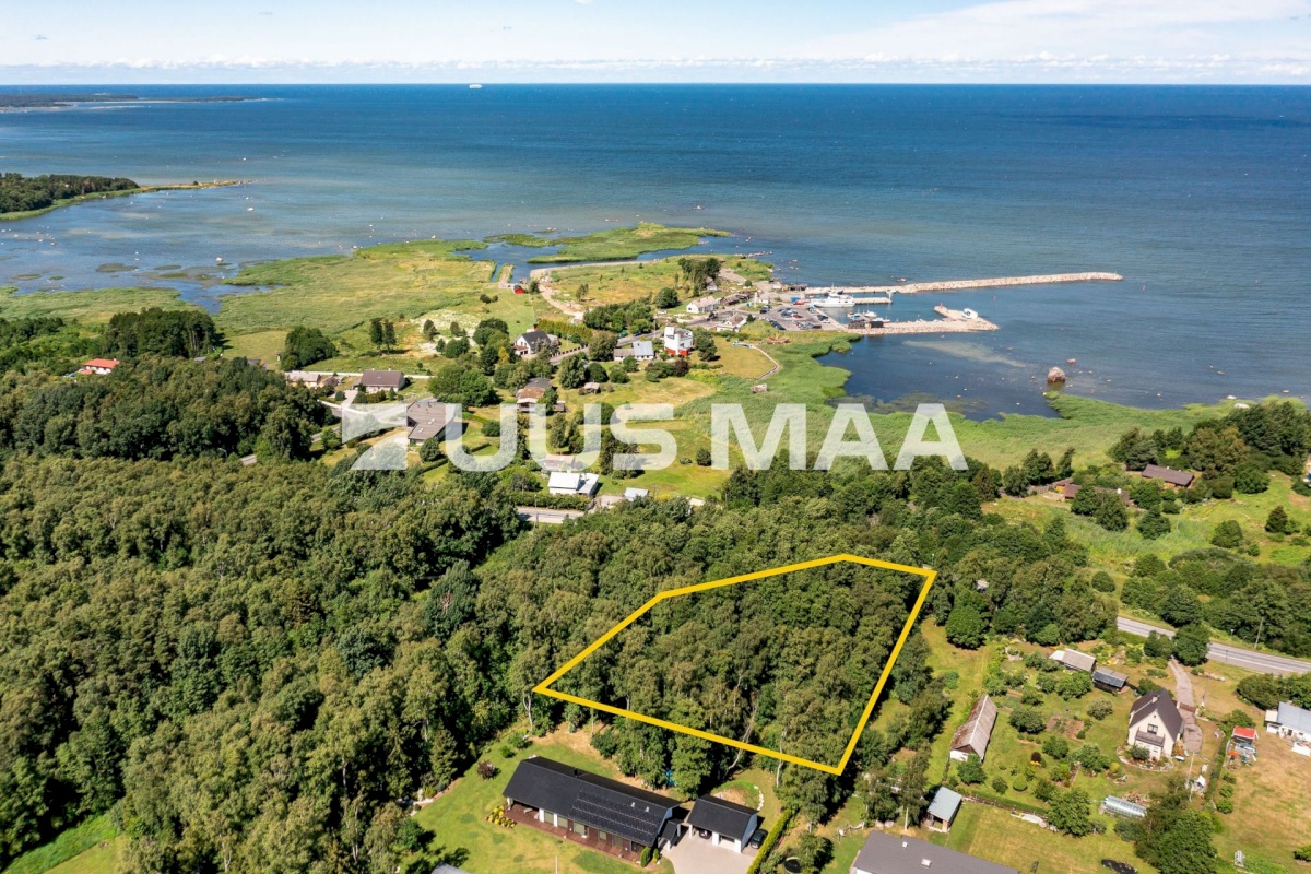 Viimsi vald, Leppneeme küla, Leppneeme tee 98