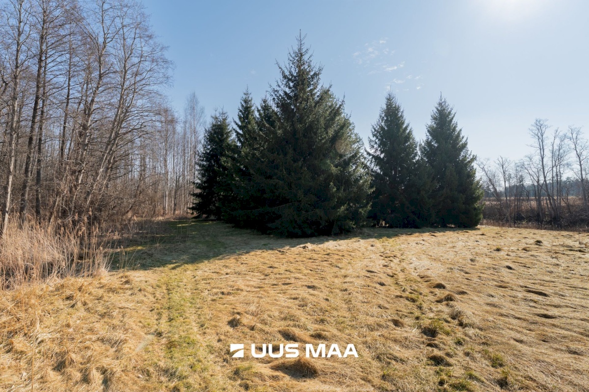 Pärnu linn, Lemmetsa küla