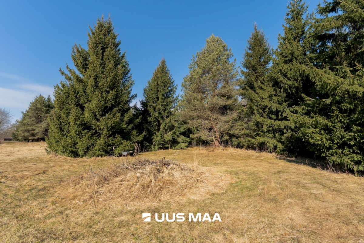 Pärnu linn, Lemmetsa küla