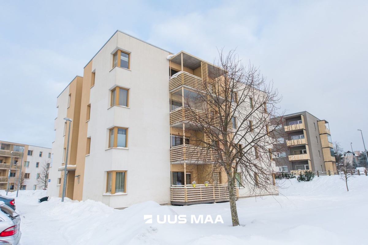 Tallinn, Haabersti linnaosa, Pikaliiva, Noorkuu 8