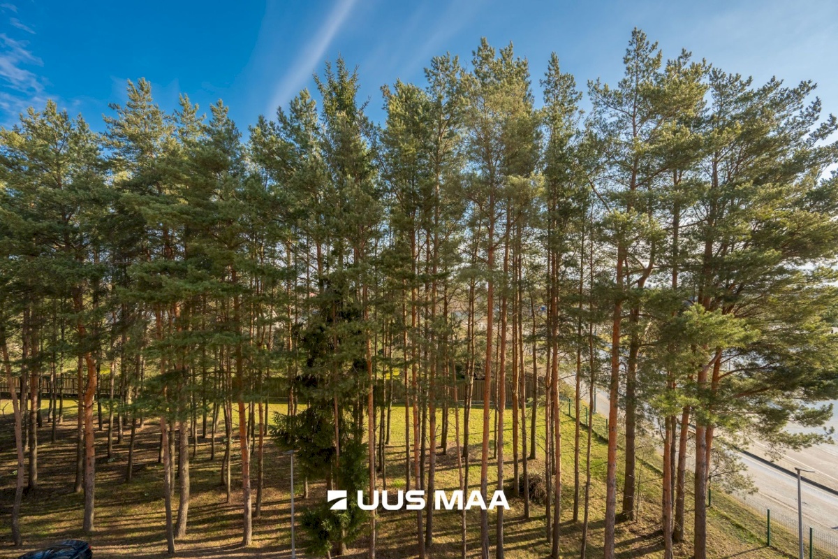 Rae vald, Peetri alevik, Raudkivi tee 4