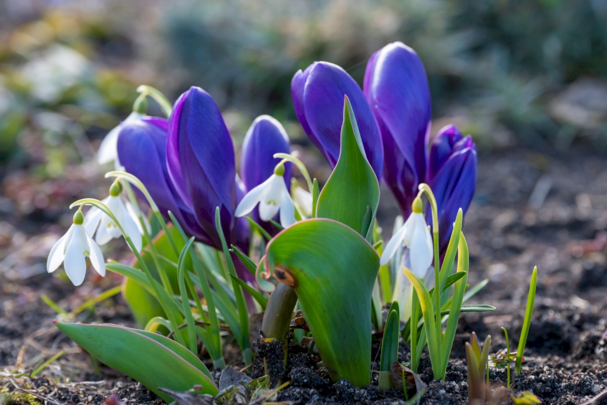Tallinn, Pirita linnaosa, Merivälja, Väina tee