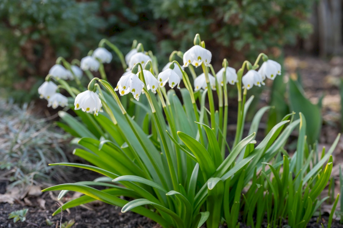 Tallinn, Pirita linnaosa, Merivälja, Väina tee