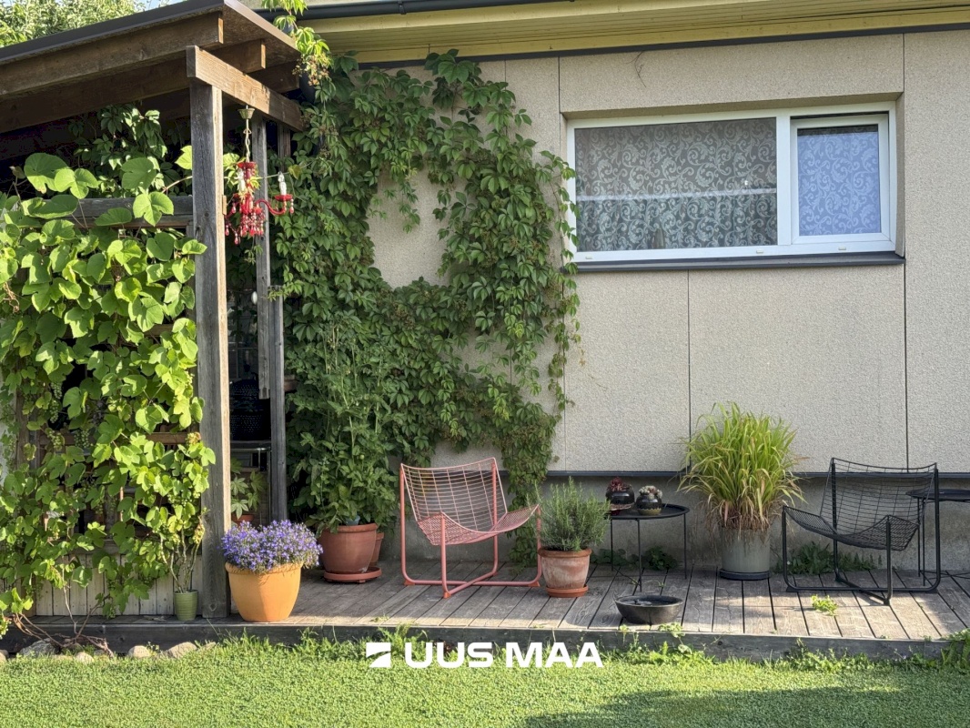 Saue vald, Saue linn, Tammesalu 6