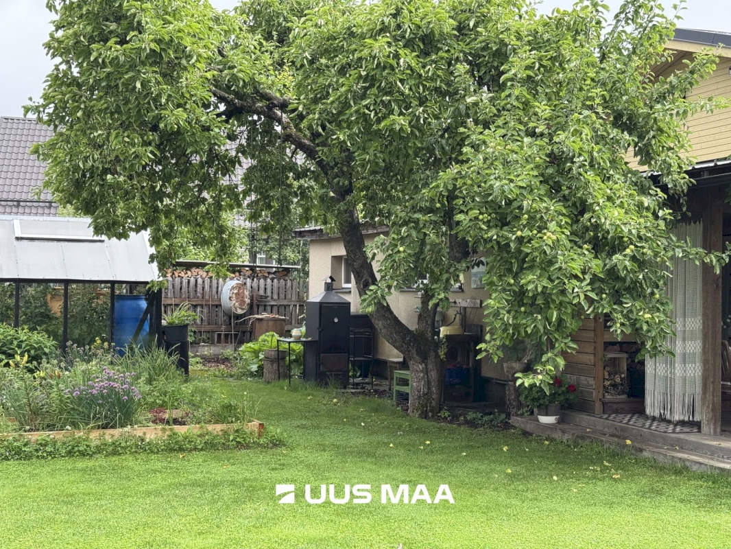 Saue vald, Saue linn, Tammesalu 6