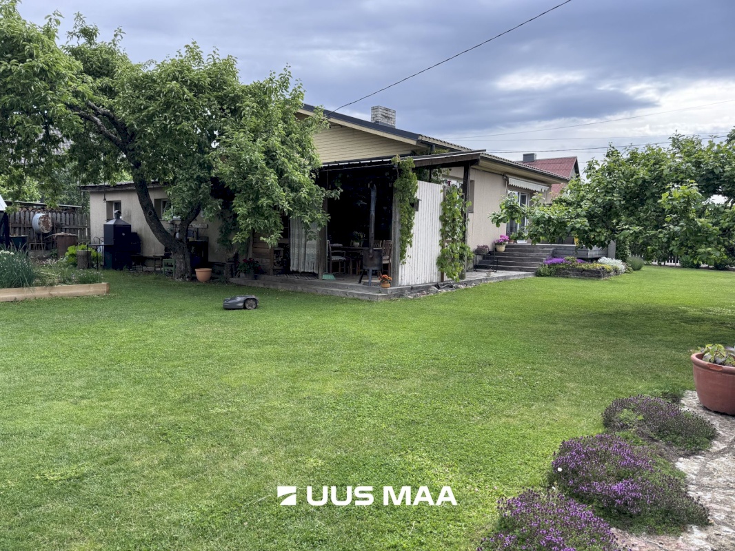 Saue vald, Saue linn, Tammesalu 6