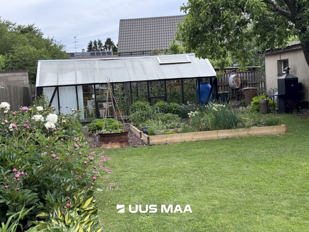 Saue vald, Saue linn, Tammesalu 6