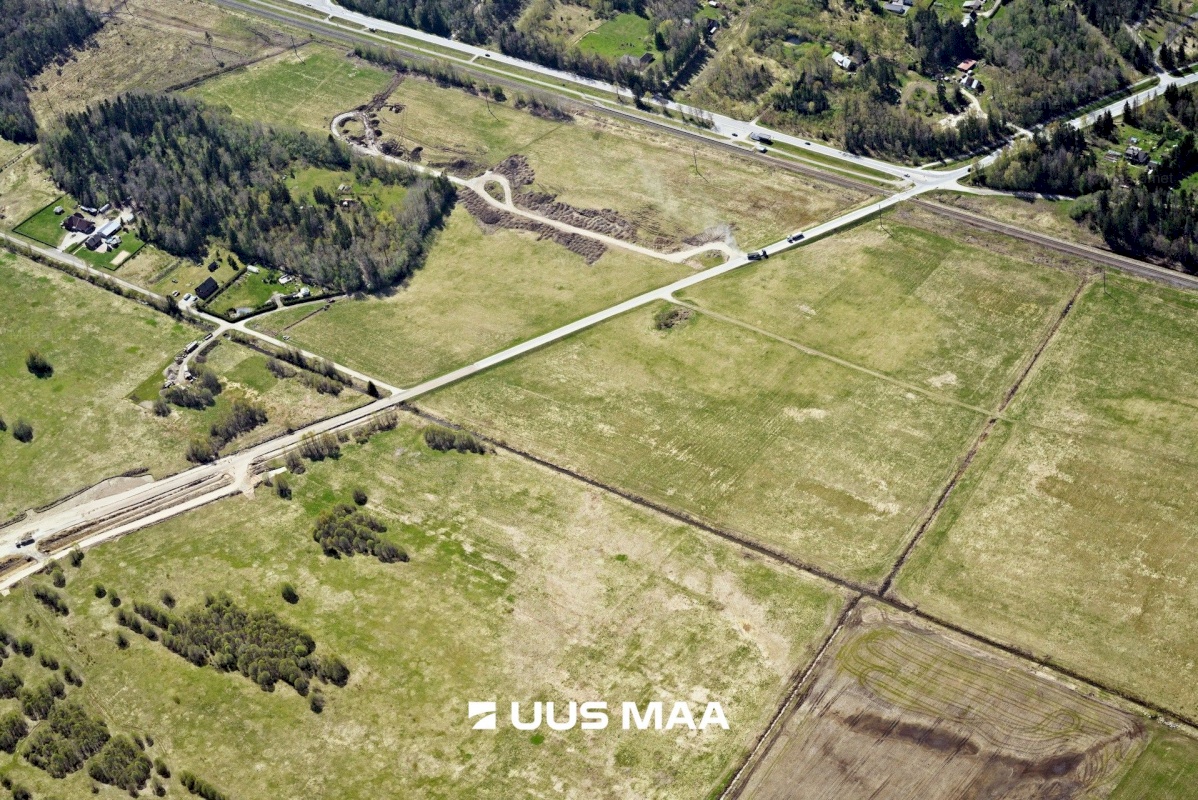 Saku vald, Kajamaa küla, Kuninga