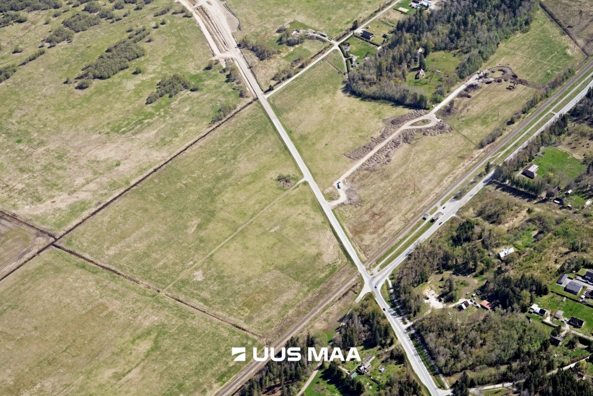 Saku vald, Kajamaa küla, Kuninga