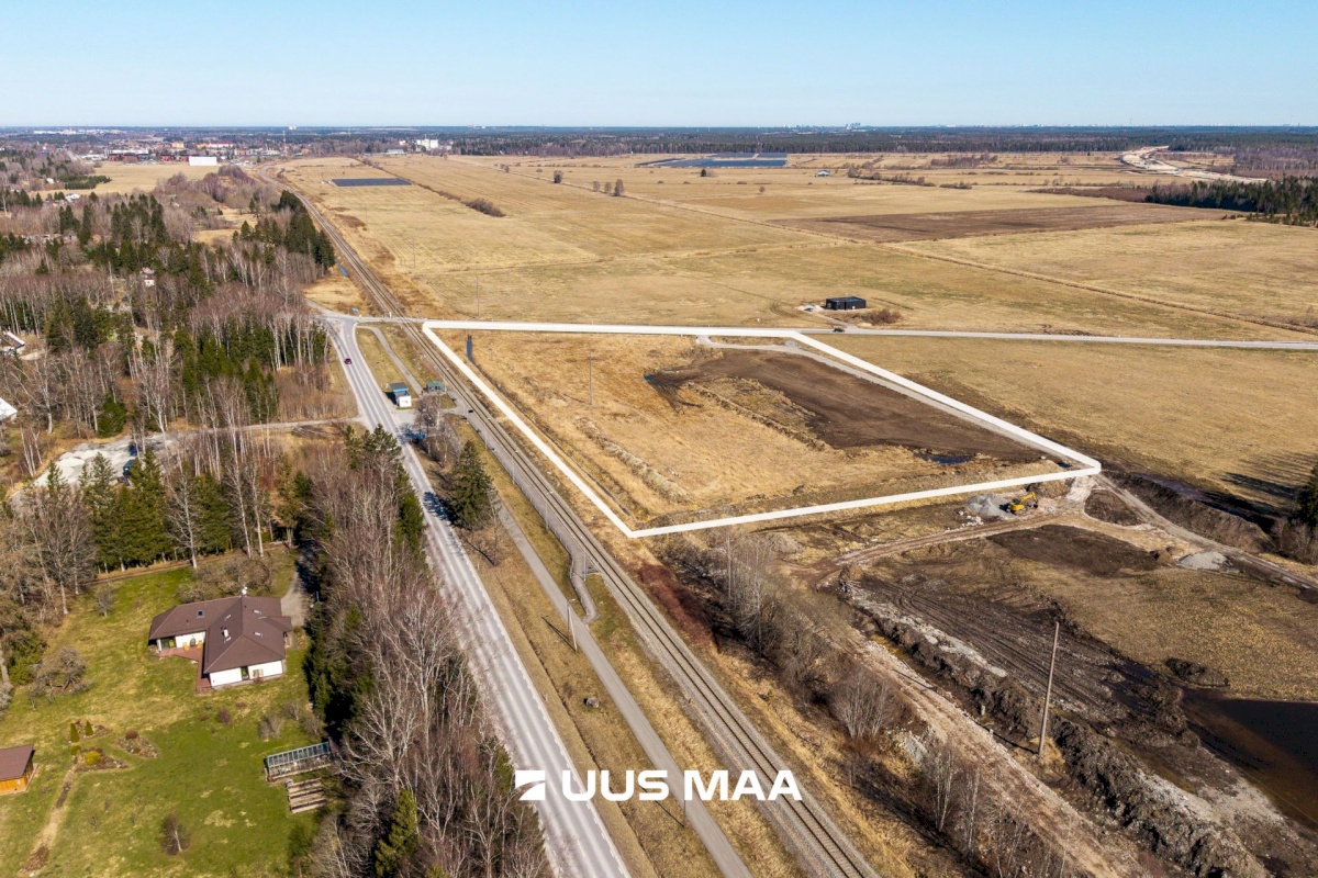 Saku vald, Kajamaa küla, Kuninga