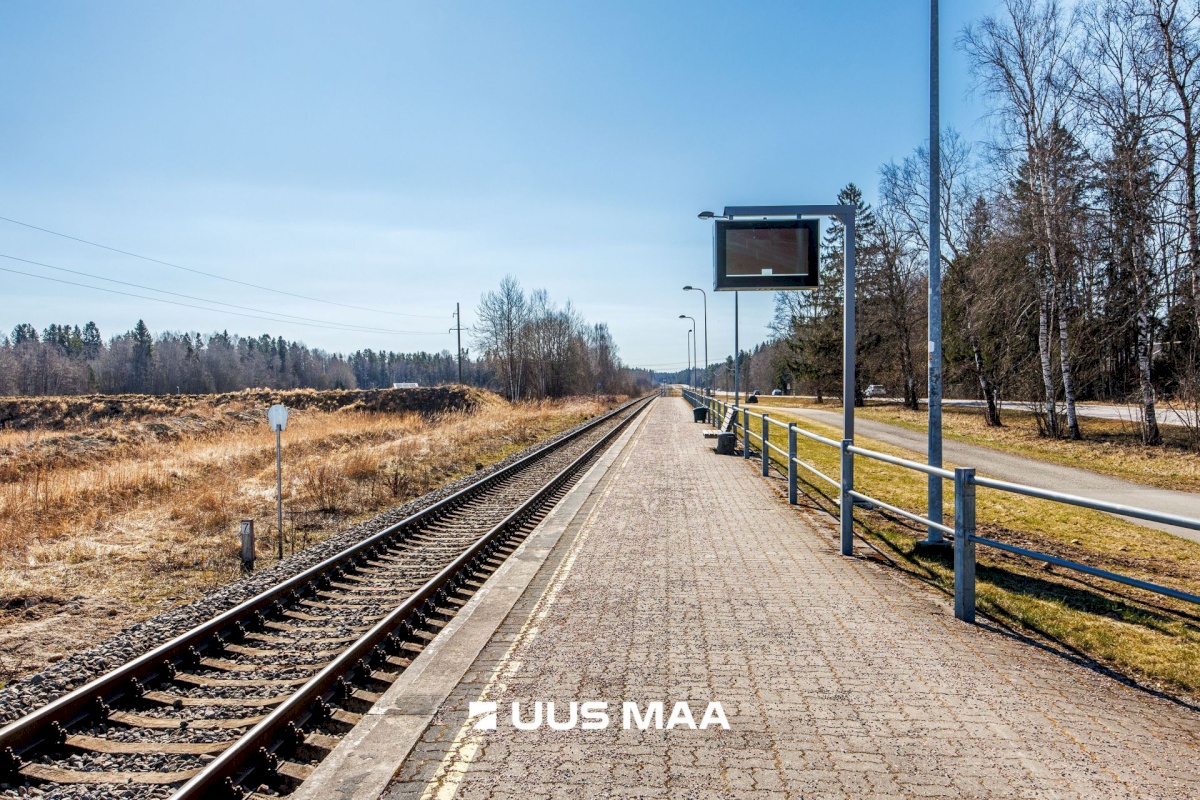 Saku vald, Kajamaa küla, Kuninga