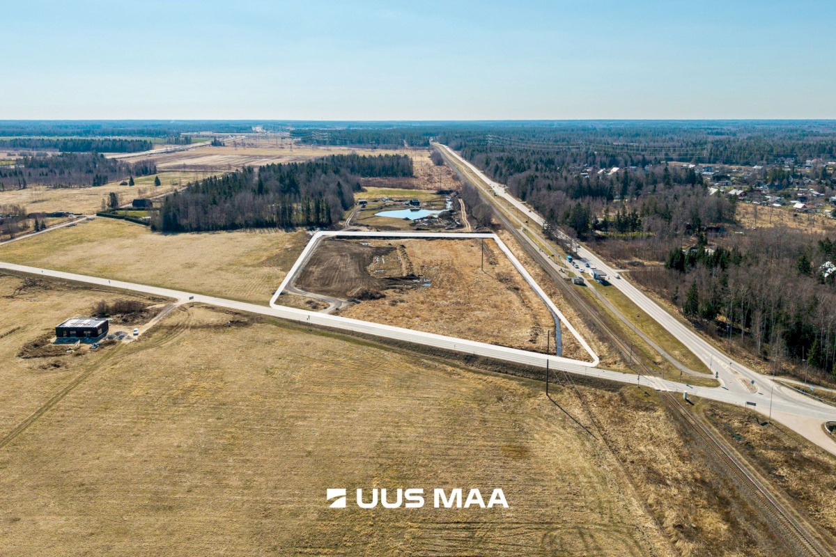 Saku vald, Kajamaa küla, Kuninga