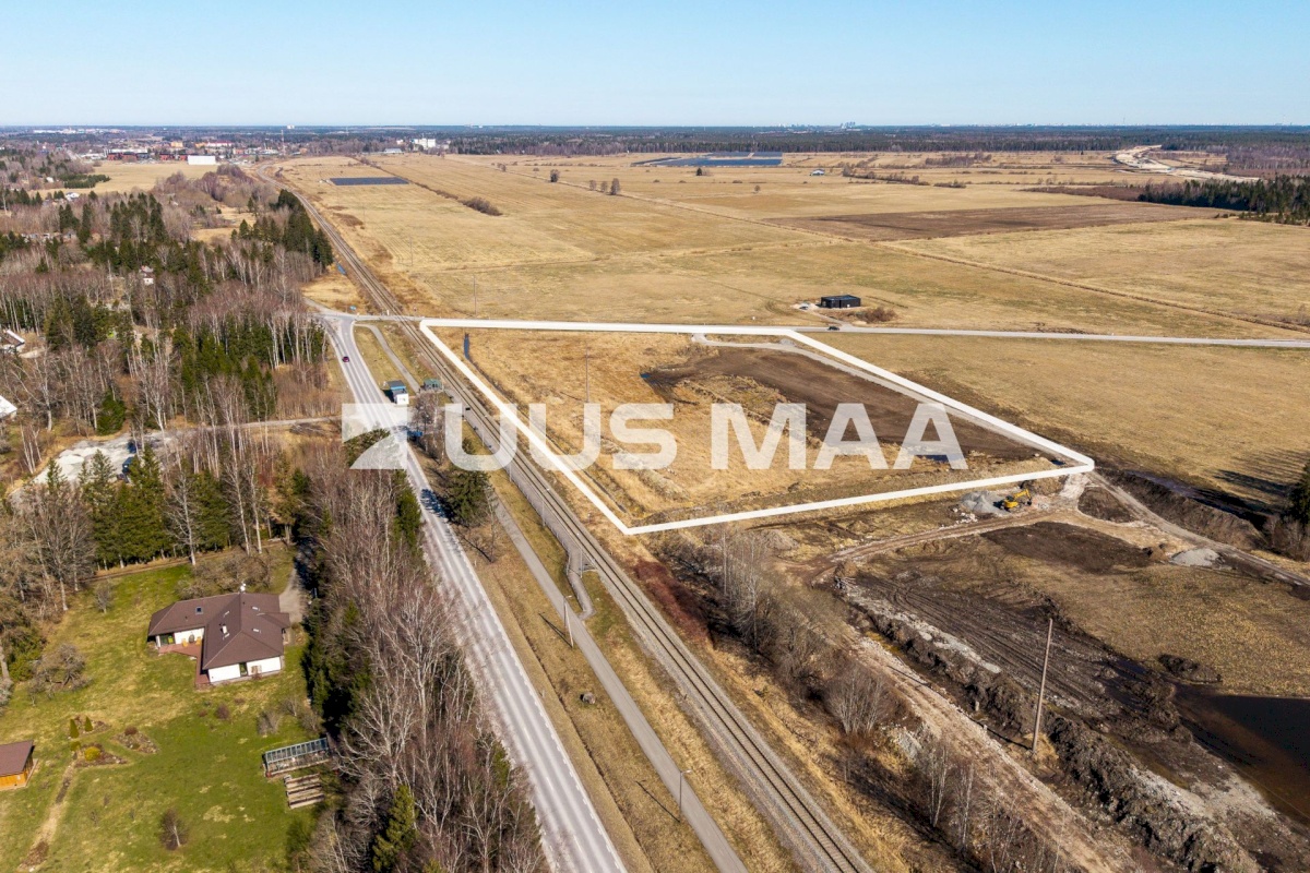 Saku vald, Kajamaa küla, Kuninga