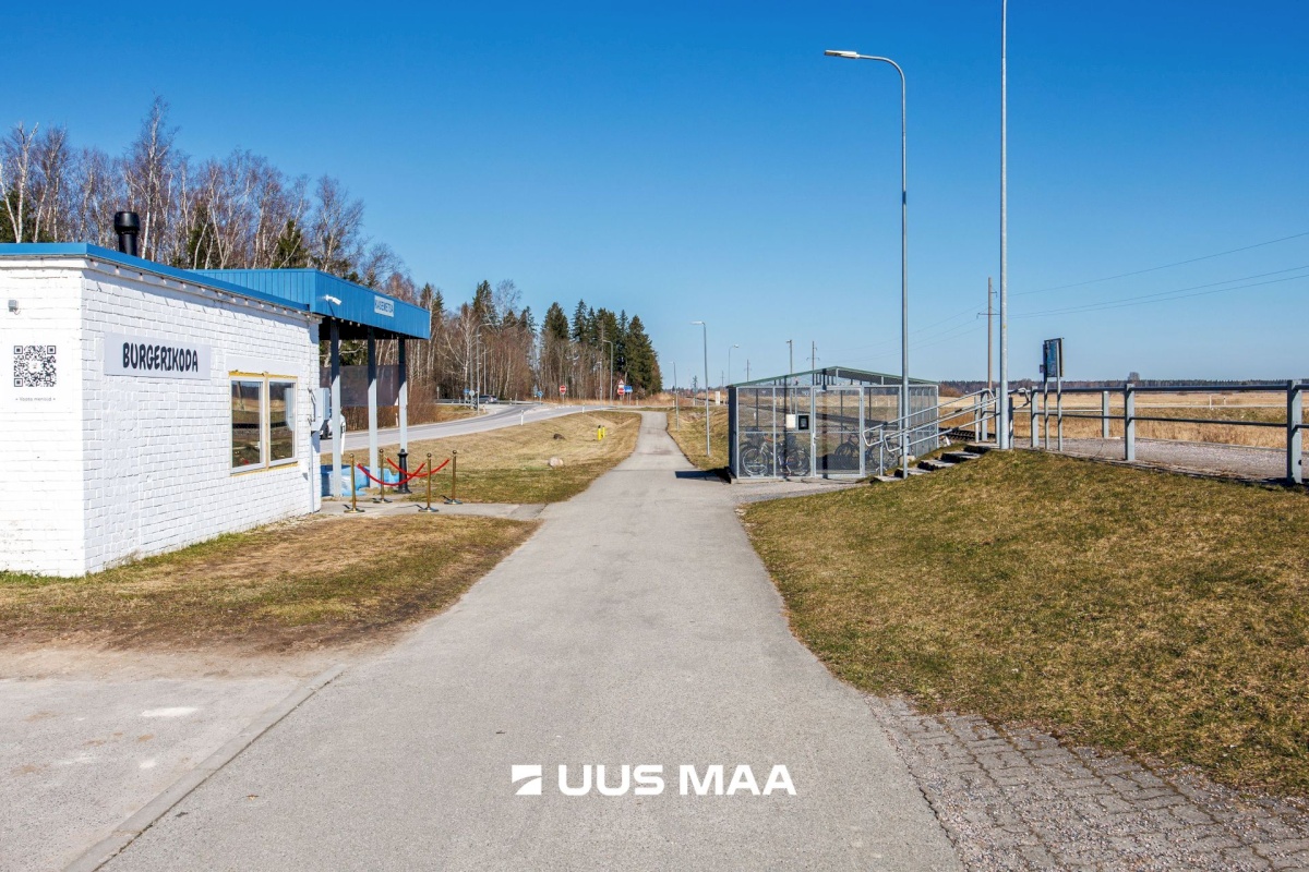 Saku vald, Kajamaa küla, Kuninga