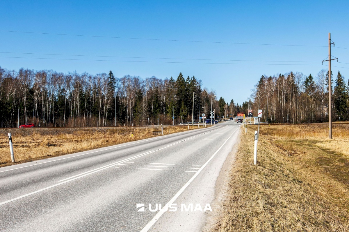 Saku vald, Kajamaa küla, Kuninga