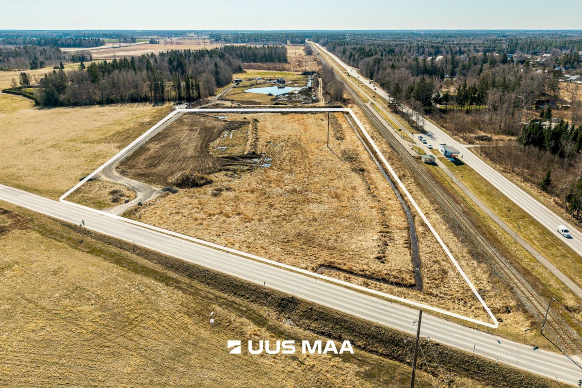 Saku vald, Kajamaa küla, Kuninga