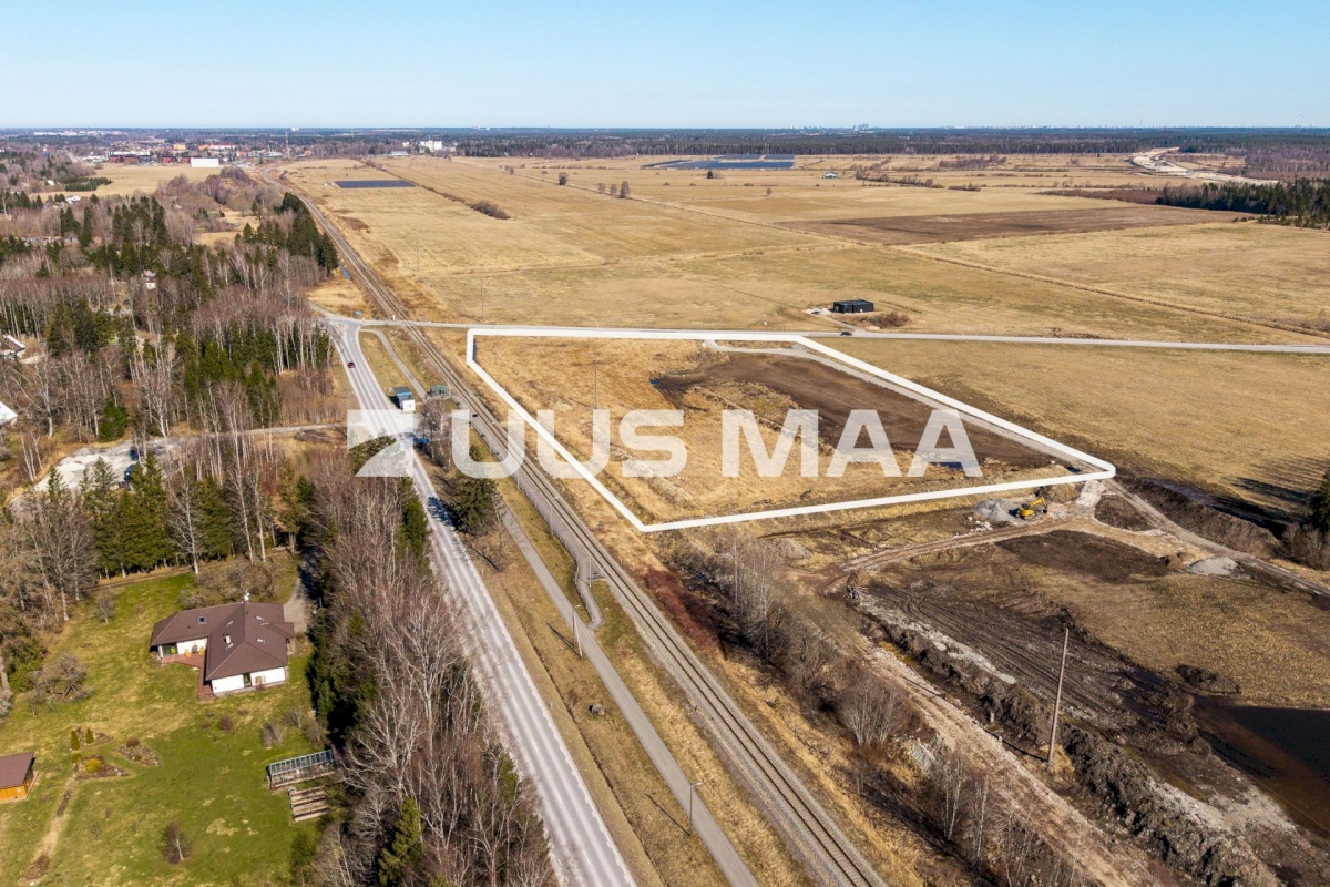 Saku vald, Kajamaa küla, Kuninga