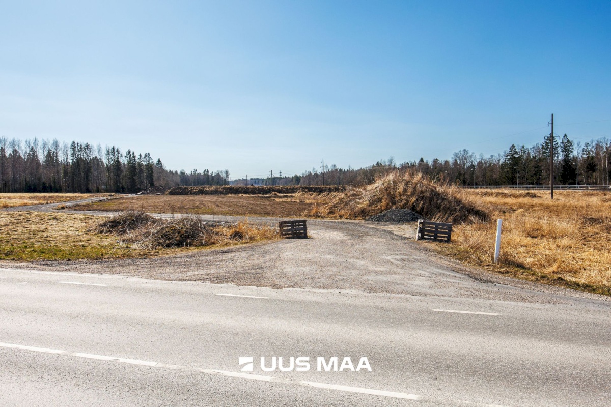 Saku vald, Kajamaa küla, Kuninga