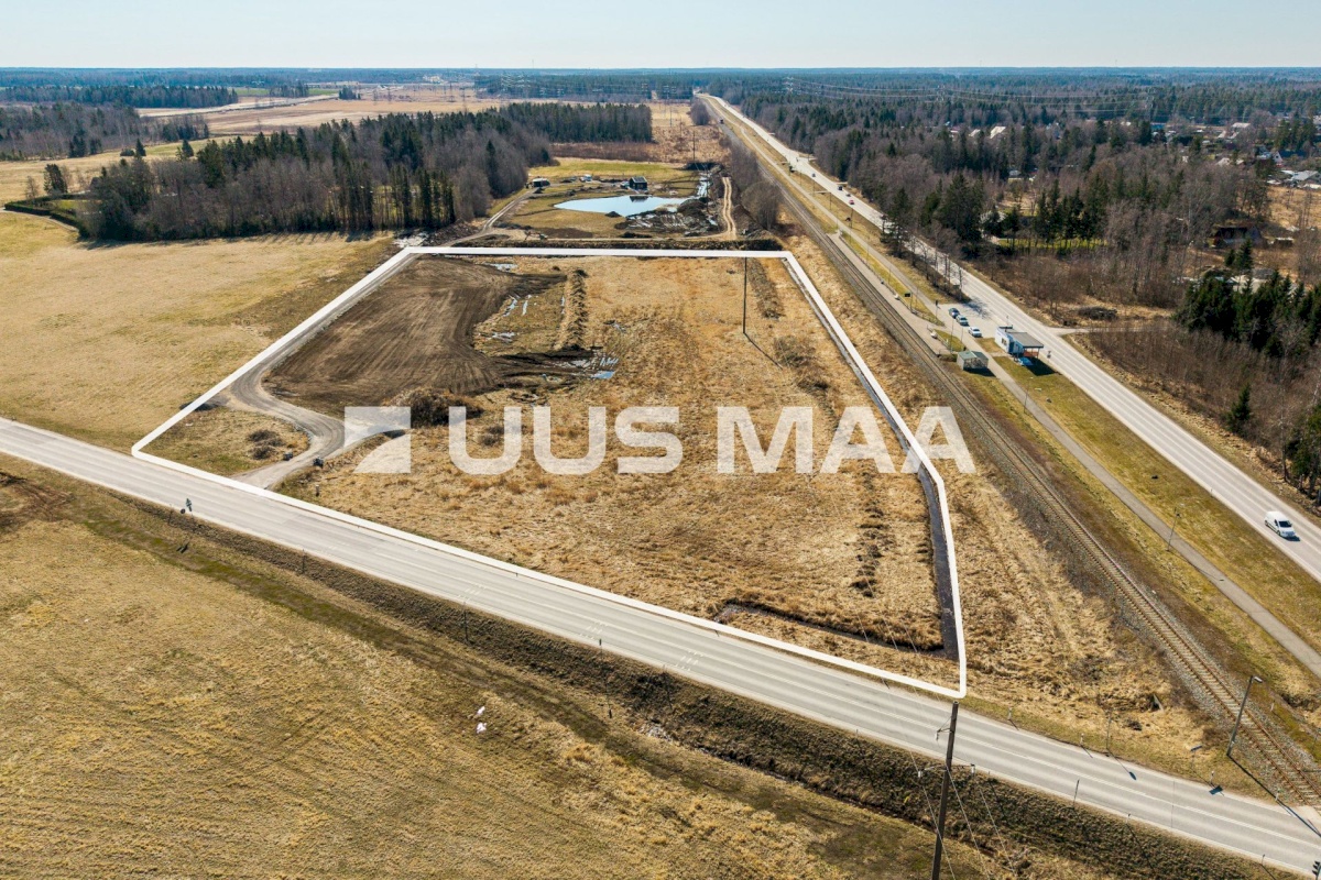 Saku vald, Kajamaa küla, Kuninga